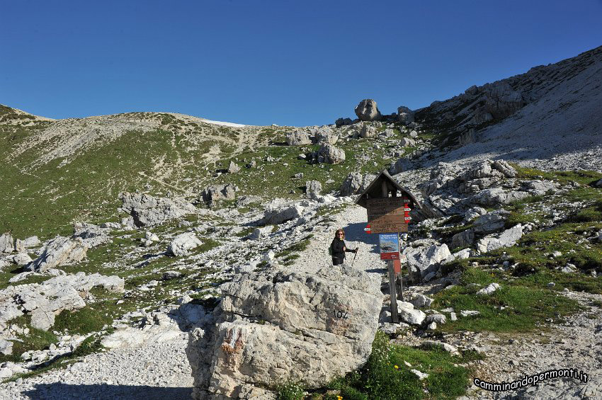 066 Salendo alla Forcella di Lavaredo.JPG